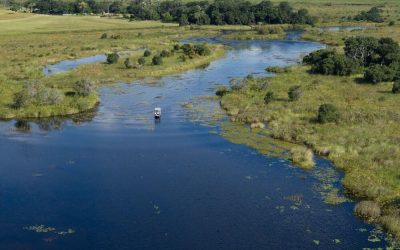 Botswana_Okavango_Shinde-Enclave-Camp_Natur-Delta_BoutiqueReisen