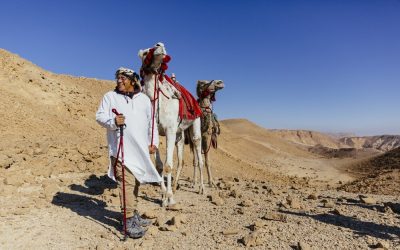 Israel_SixSenses_Shaharut_Kamele_BoutiqueReisen