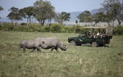 Kenia_Masai-Mara_andBeyond-Kichwa-Tembo-Tented-Camp_Nashorn_BoutiqueReisen