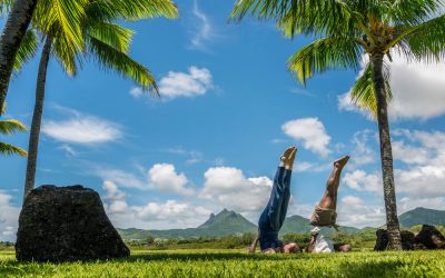 Mauritius_FourSeasons_atAnahita_Palmen_BoutiqueReisen
