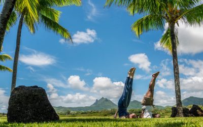 Mauritius_FourSeasons_atAnahita_Palmen_BoutiqueReisen