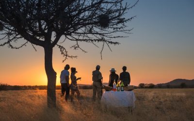 Namibia_Etosha_Little-Ongava_GameDrive_BoutiqueReisen