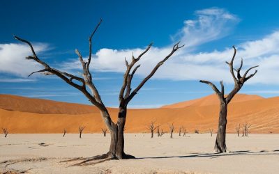 Namibia_Sossusvlei_Duenen_Rundreise_BoutiqueReisen