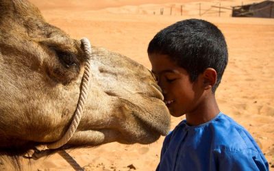 Oman_Kamele_BoutiqueReisen