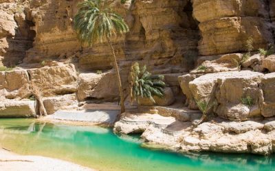 Oman_Wadi-Shab_Palme_BoutiqueReisen
