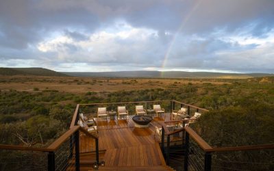 Suedafrika_Eastern-Cape_Shamwari-Sindile_Deck_BoutiqueReisen