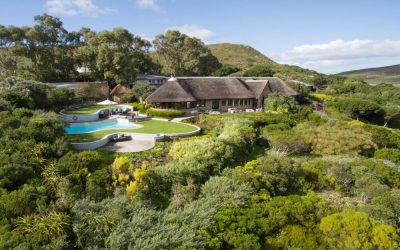 Suedafrika_Gardenroute_Grootbos-Garden-Lodge_Pool_BoutiqueReisen