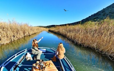 Suedafrika_Gardenroute_Sanbona-Gondwana_Wasser_BoutiqueReisen