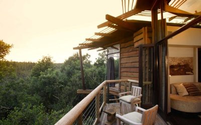 Suedafrika_Gardenroute_Tsala-Treetop-Lodge_Baumhaus_BoutiqueReisen