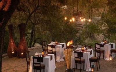 Suedafrika_Sabi-Sands_Sabi-Sabi-Little-Bush-Camp_Dinner_BoutiqueReisen