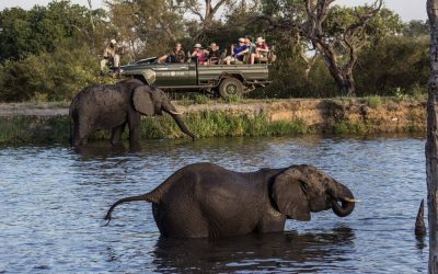 Suedafrika_Sabi-Sands_Sabi-Sabi-Little-Bush-Camp_Safari_BoutiqueReisen