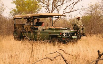 Suedafrika_Safari_BoutiqueReisen