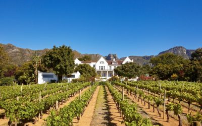 Suedafrika_Weinregion_The-Cellars-Hohenort_WEin_BoutiqueReisen