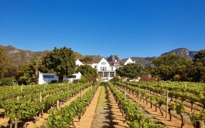 Suedafrika_Weinregion_The-Cellars-Hohenort_WEin_BoutiqueReisen