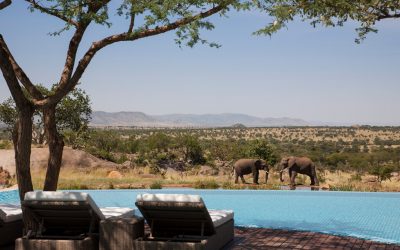 Tansania_Serengeti_FourSeasons_Tiererlebnis_BoutiqueReisen