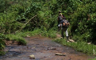 Uganda_Bwindi_Clouds-Mountain-Gorilla-Lodge_Gorilla-Trekking_BoutiqueReisen
