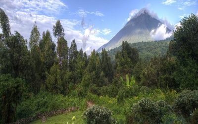 Uganda_MGahinga_Mount-Gahinga-Lodge_Blick_BoutiqueReisen