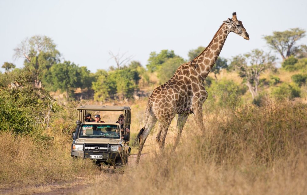 Botswana_Chobe_Ngoma-Safari-Lodge_Pirschfahrt_BoutiqueReisen