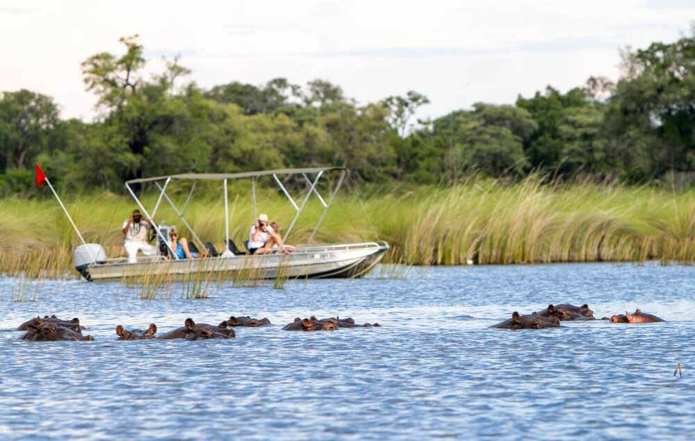 Botswana_Okavango_Camp-Moremi_Bootstour_BoutiqueReisen