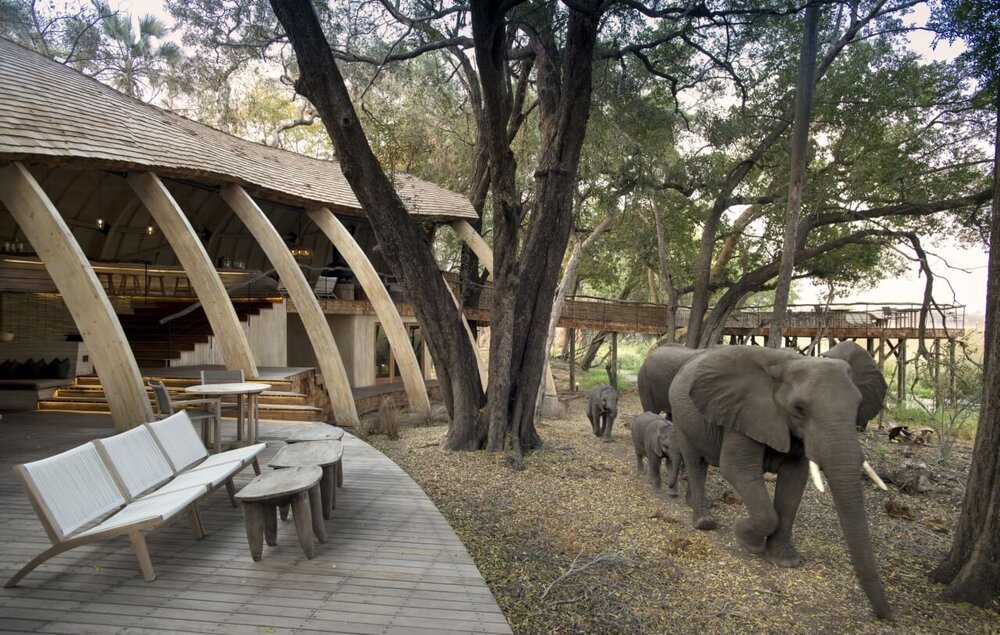 Botswana_okavango_andBeyond-Sandiba-Safari-Lodge_Elefanten-Camp_BoutiqueReisen