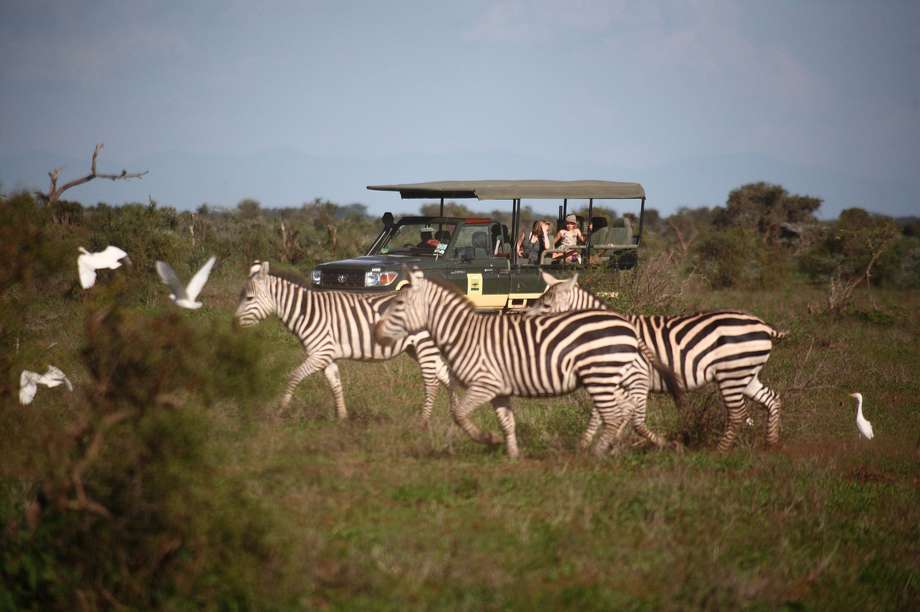Kenia_Amboseli_Tortilis-Camp_Safari_BoutiqueReisen