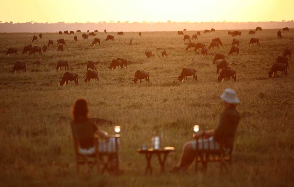 _Kenia_Masai-Mara_Elephant-Pepper-Camp_Blick_BoutiqueReisen