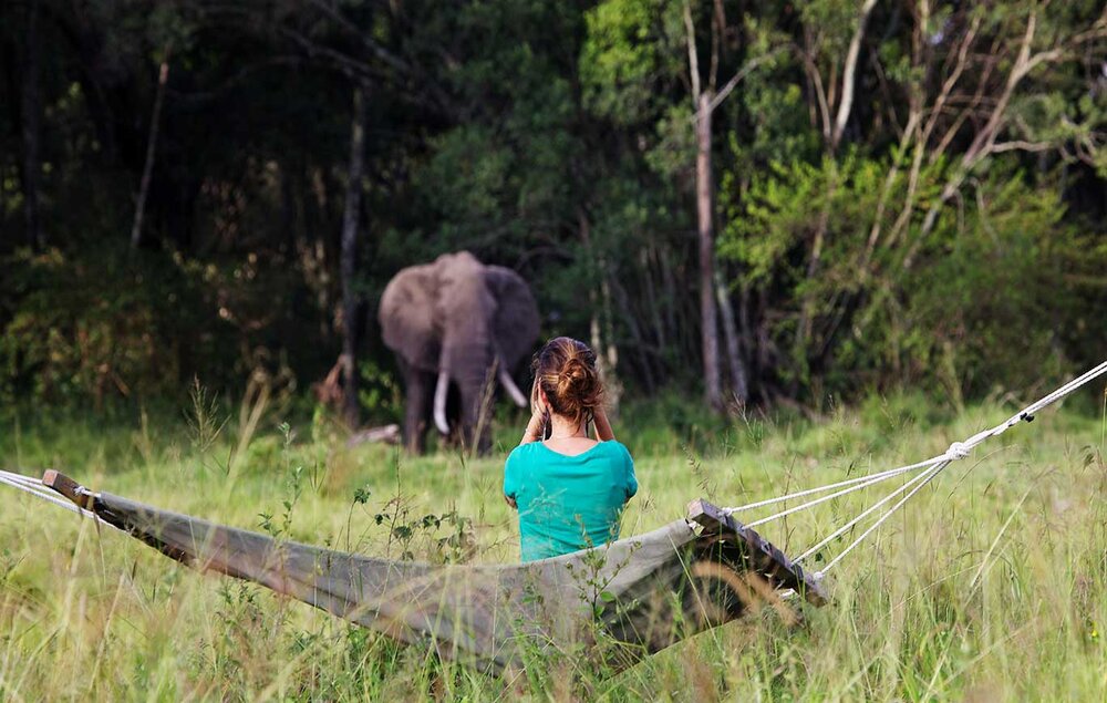 _Kenia_Masai-Mara_Elephant-Pepper-Camp_Elefant_BoutiqueReisen