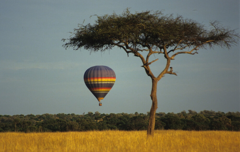 Kenia_Masai-Mara_Mara-Bushtops_Ballonfahrt_BoutiqueReisen