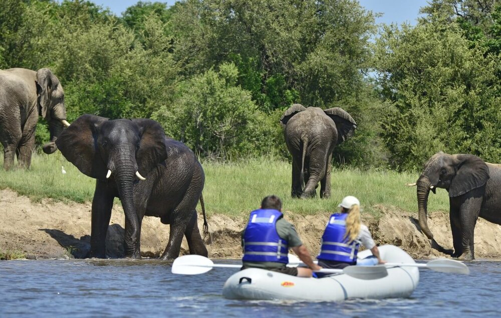 Simbabwe_Victoria-Falls-River-Lodge_Elefanten_BoutiqueReisen